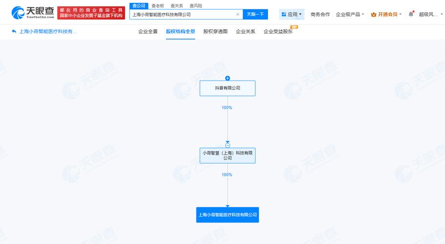 抖音上海布局医疗AI，小荷智能能否搅动行业格局？